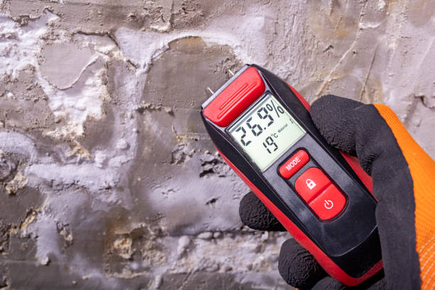 Best Emergency Mold Remediation in Greenfield, TN