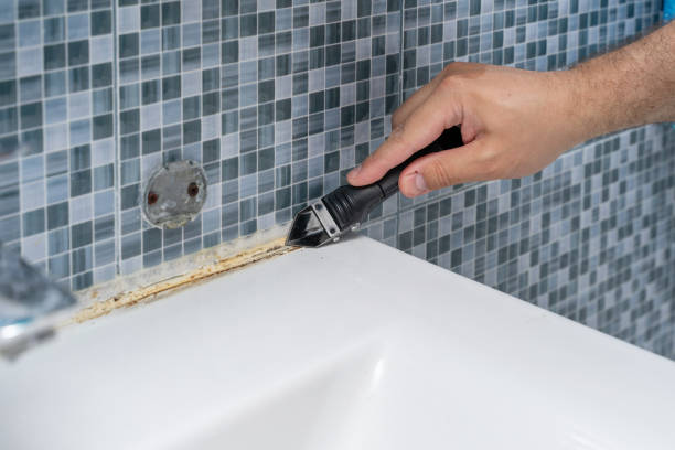 Best Residential Mold Remediation in Greenfield, TN